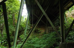 Condition of the Irving Bridge before construction